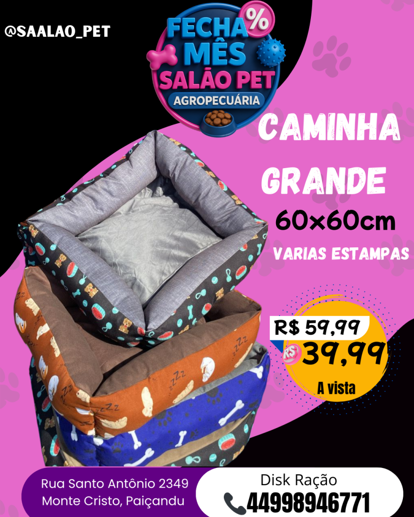 caminha PET 